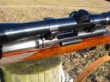 Extrememly Rare J P Sauer Pre-War Zi-Di 22 Hornet Mannlicher stocked rifle imported by Von Lengerke &Detmold - 8 of 12