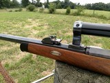Gebruder Mauser & Co. Target / Sporter - 10 of 13