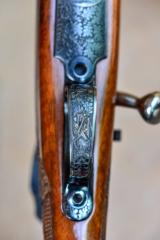 Mathieu Arms - 1 of 16