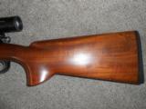 Commercial FN Mauser .250-3000 (250 Savage) - 6 of 8