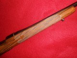 1909 Argentine Mauser .270 Winchester by DWM - 13 of 15