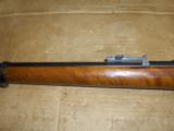 Argentine Mauser 1891 - 8 of 8