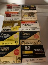 WinchesterPetersFederal20 Gauge Shells - 1 of 1