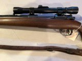 M 98 Sporter 257 Roberts - 7 of 10