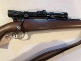 M 98 Sporter 257 Roberts - 3 of 10