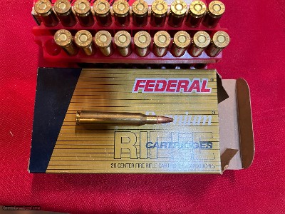 Federal Premium 25-06