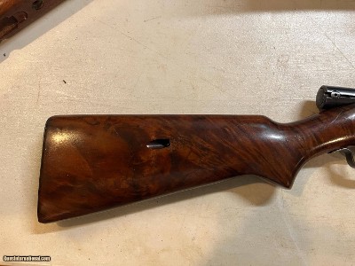 Winchester model 74
22 LR With Unusual Wood