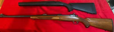 Ruger M 77 Hawkeye375 Ruger