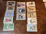 Duck Stamps - 2 of 2