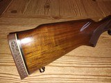 Pre-64 Winchester Westerner Model 70 in .264 264 -win mag Circa 1960 "Excellent Condition" - 3 of 15