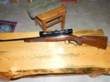 Winchester 88 pre 1964
243 - 5 of 9