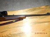 Winchester 88 pre 1964
308 with 3x9 Bushnell - 9 of 9