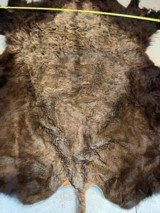 Full Winter Montana Buffalo - 3 of 5