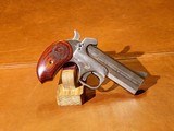 Bond Arms - Snake Slayer, Stainless Steel Finish, .45 Colt/.410. 3.5