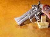 Bond Arms - Snake Slayer, Stainless Steel Finish, .45 Colt/.410. 3.5