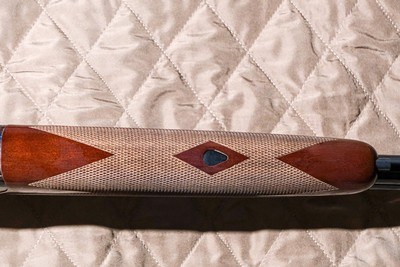 CSMC - Revelation, Case Colored, O/U, 20ga. 28