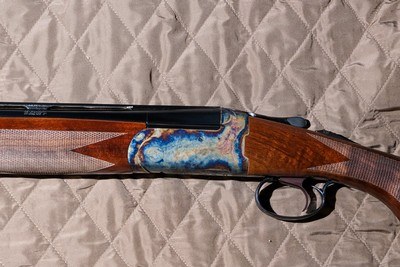 CSMC - Revelation, Case Colored, O/U, 20ga. 28