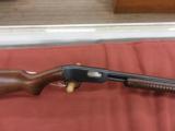 Winchester 61,
22LR , Shot - 2 of 3