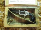 COLT NEW LINE 22 1873-1884 - 11 of 12