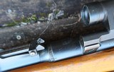 Swiss Bern ZFK 31/55 Sniper Rifle, Matching Scope and Can - 14 of 15