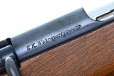 BSW, KKW German Military Trainer Rifle, SA NSDAP, 206160, FB01821 - 6 of 11