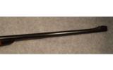 Holland and Holland 303 British Rifle - 9 of 9