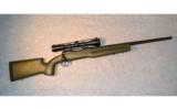 Savage Model 10 Predator 260 Remington - 1 of 8