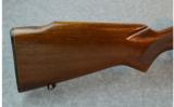 Winchester Model 70 30-06 Caliber - 5 of 9