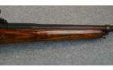 Winchester Model 70 Safari-Caliber 416 Rigby - 8 of 9