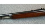Winchester Model 1905 Self Loader--.35 Winchester - 6 of 9