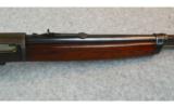 Winchester Model 1910 Self Loader--.401WSL - 8 of 9