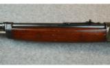 Winchester Model 1910 Self Loader--.401WSL - 6 of 9
