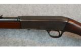 Remington ~ 24 ~ 22 Short - 4 of 10