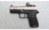 Sig Sauer ~ P320 ~ 9 mm - 2 of 2