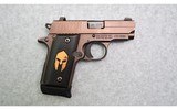 Sig Sauer ~ P238 Spartan ~ .380 Auto - 1 of 2