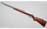 Marlin ~ Model 60 ~ .22 Long Rifle - 10 of 10