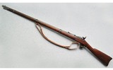 U.S. Springfield ~ Model 1864 ~ .50 - 70 Government - 10 of 10