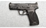 Smith & Wesson ~ M&P M2.0 ~ 10 mm - 2 of 2
