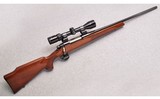 Remington ~ 700 ~ .270 Winchester - 1 of 10