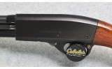 Remington ~ 572 Fieldmaster ~ .22 S, L, LR - 9 of 10