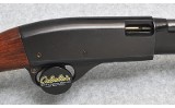 Remington ~ 572 Fieldmaster ~ .22 S, L, LR - 3 of 10