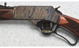 Henry ~ H010CC ~ .45-70 Government - 9 of 10