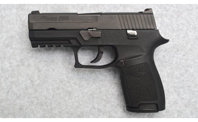 SIG SAUER ~ P250 ~ .40 S&W - Image 2 of 2