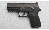 SIG SAUER ~ P250 ~ .40 S&W - Image 2 of 2