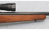 Savage ~ 93R17~ .17 HMR - 4 of 10