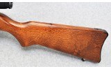 Ruger ~ 10/22 ~ .22 Magnum - 10 of 10