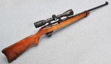 Ruger ~ 10/22 ~ .22 Magnum - 1 of 10