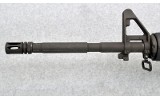 Bushmaster ~ XM15-E2S ~ 5.56 NATO - 7 of 10