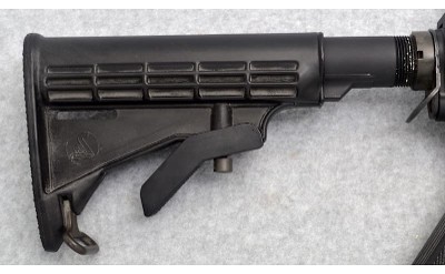 Bushmaster ~ XM15-E2S ~ 5.56 NATO - Image 2 of 10