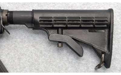 Bushmaster ~ XM15-E2S ~ 5.56 NATO - Image 10 of 10